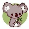 manjoel555